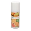 Aerosol Fresh Citrus (12x 100ml) Online
