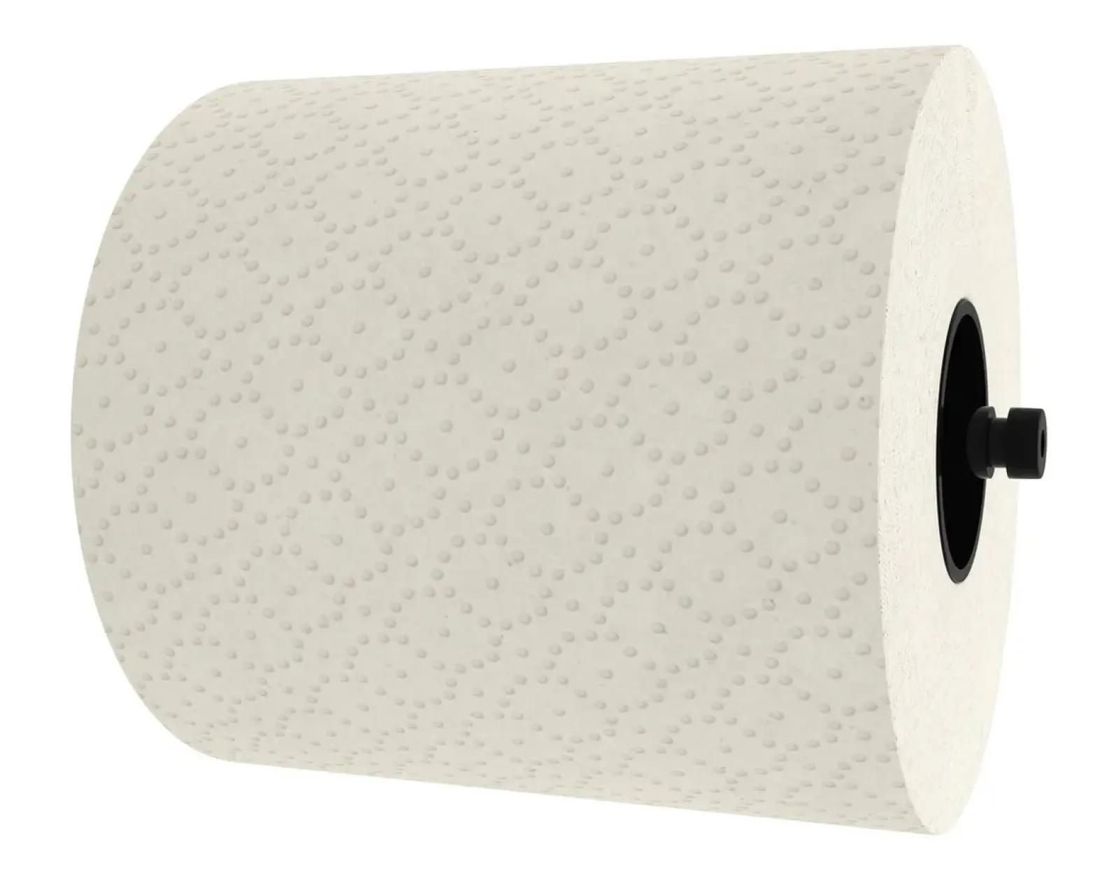 Satino Black Handdoekrol 2 laags 175 meter (6 stuks) Outlet