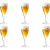 Brugse Zot Glas (6x 33cl) Hot