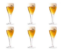 Brugse Zot Glas (6x 33cl) Hot