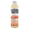 Clever Water Antioxidant Peach & Green Tea (12X 500ml) Best