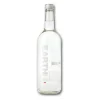 Earth water koolzuurhoudend glas (12x 75cl) Online