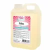 Nic Frusco milkshakesiroop cocos 2 liter Online