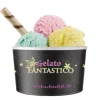 Gelato Fantastico Gelato Ijsbeker (50x240ml) Outlet