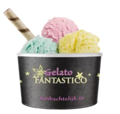 Gelato Fantastico Gelato Ijsbeker (50x240ml) Outlet