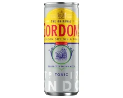 Gordon's Gordon’s Gin Tonic Blik (12x 25cl) New