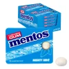 Mentos Kauwgom Mighty Mint Blister (12 stuks) New