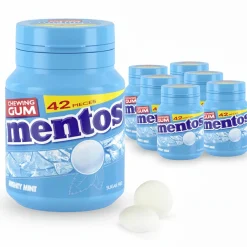 Mentos Kauwgom Mighty Mint Bottle (6x 42 stuks) Hot