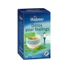 Messmer Detox Brennessel Grun Tee 20x 2gr (5 stuks) Sale