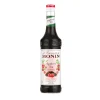 Monin Siroop Frambozen Thee (70cl) Discount