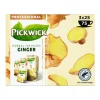Pickwick Professional Ginger (75x 1,75g) Clearance