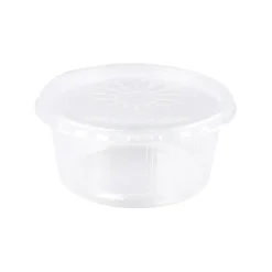 Merkloos Plastic bak + deksel helder (250x 250cc) Outlet