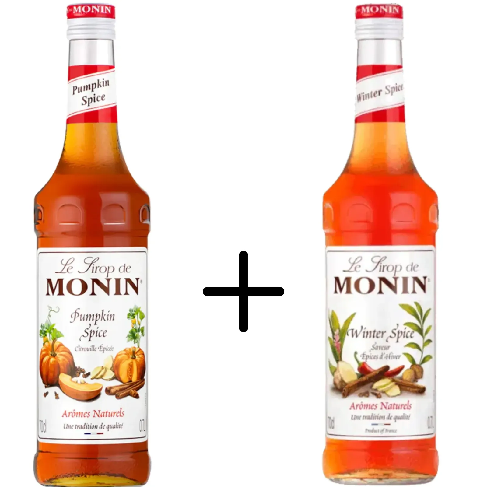 Monin Pumpkin Spice + Winter Spice Sale