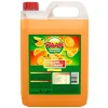 Raak Vruchtensiroop Sinaasappel (5 liter) Outlet