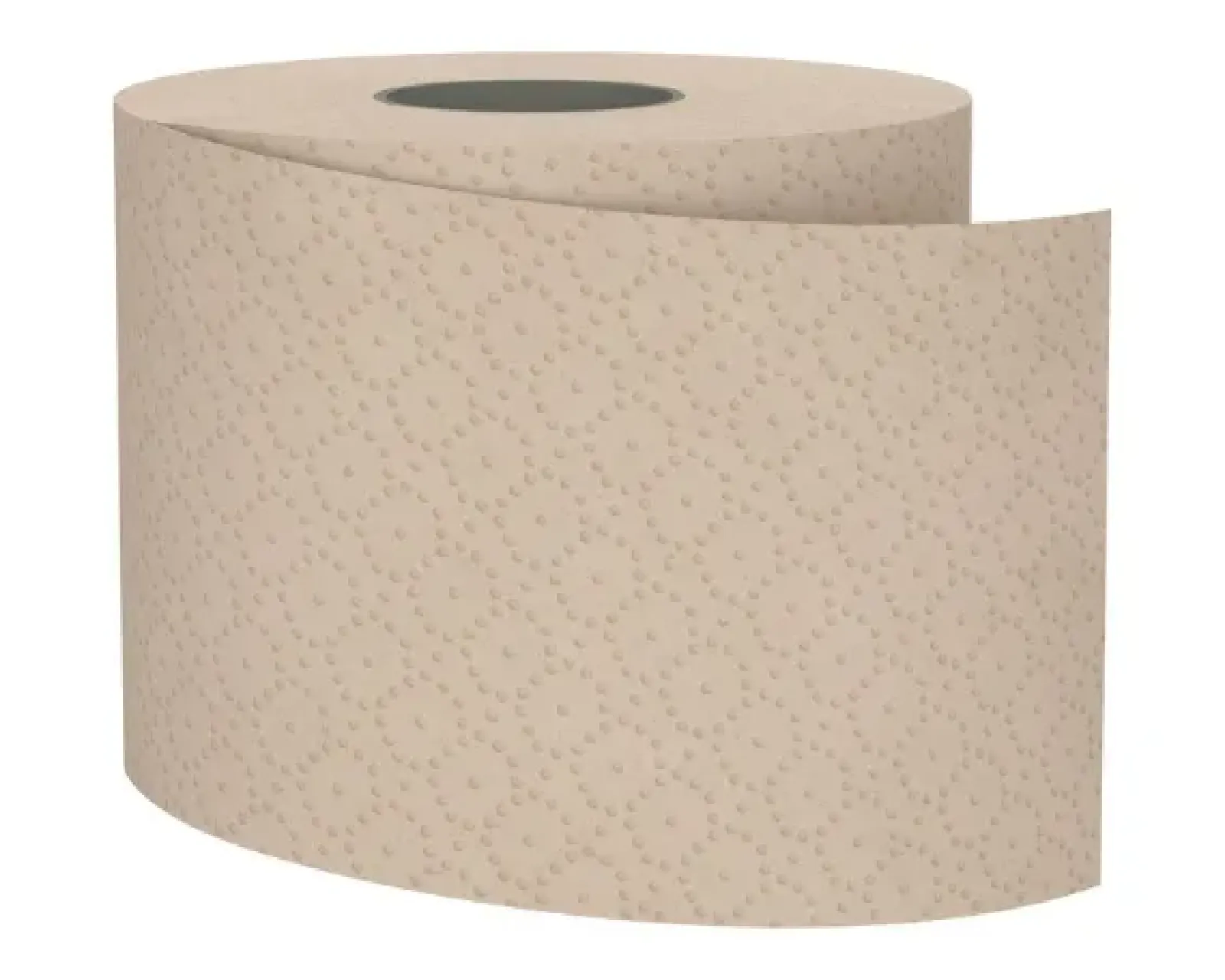Satino Puresoft Toiletpapier met Dop 2-laags (24x 100m) Online