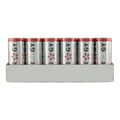 Slammers Energy Drink (24x 25cl) Hot
