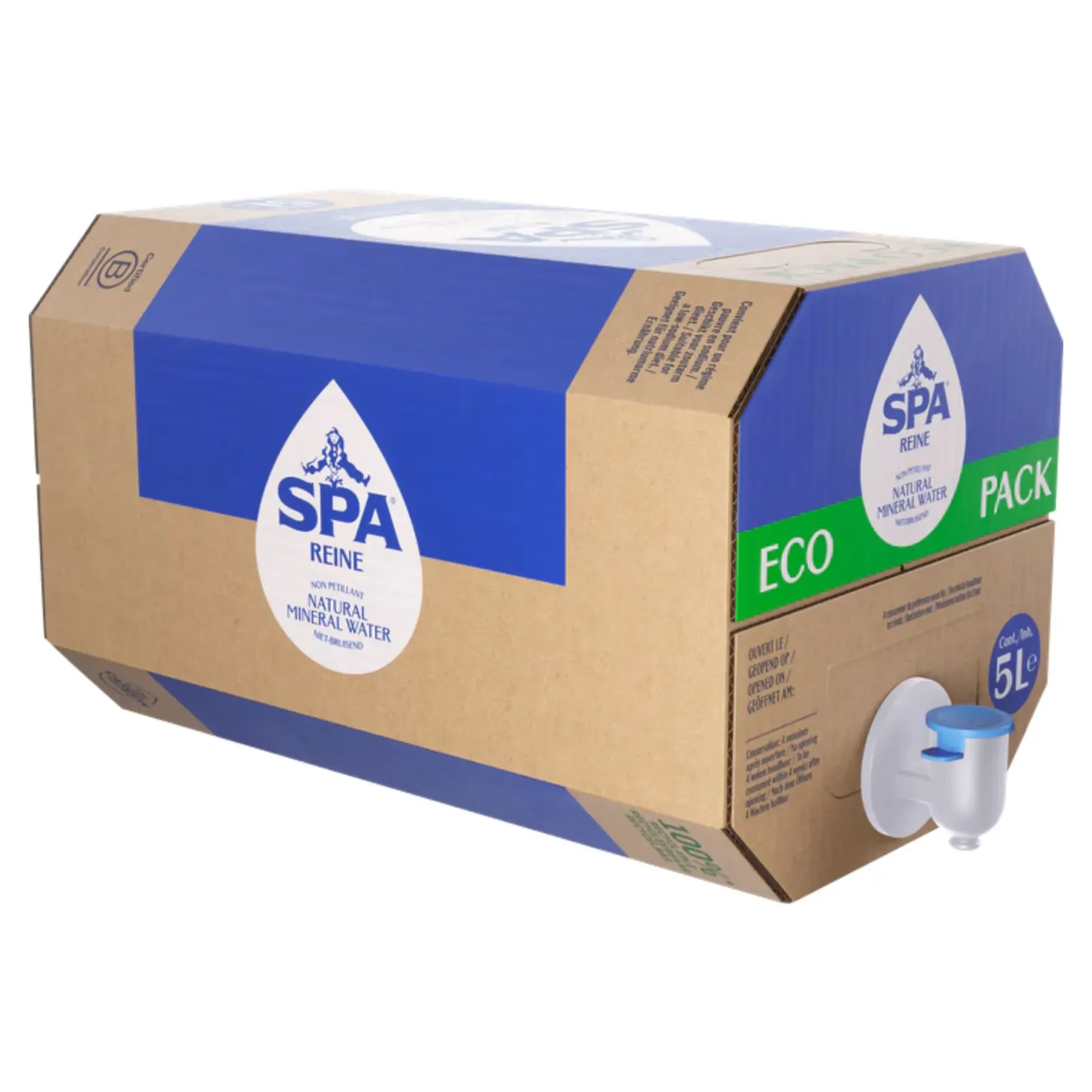 Spa Reine Ecopack (10 liter) Outlet