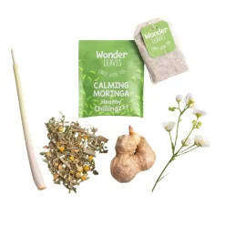Wonder Leaves BIO FT Calming Moringa (25x 1,8gr) New